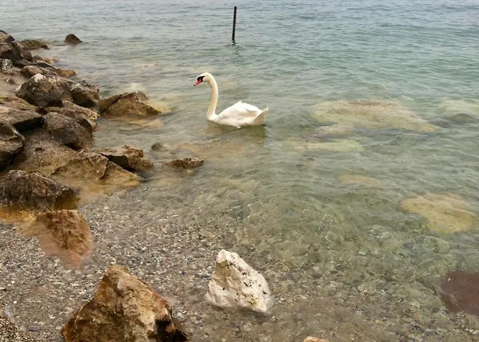 Casa Martori View ゲストハウス